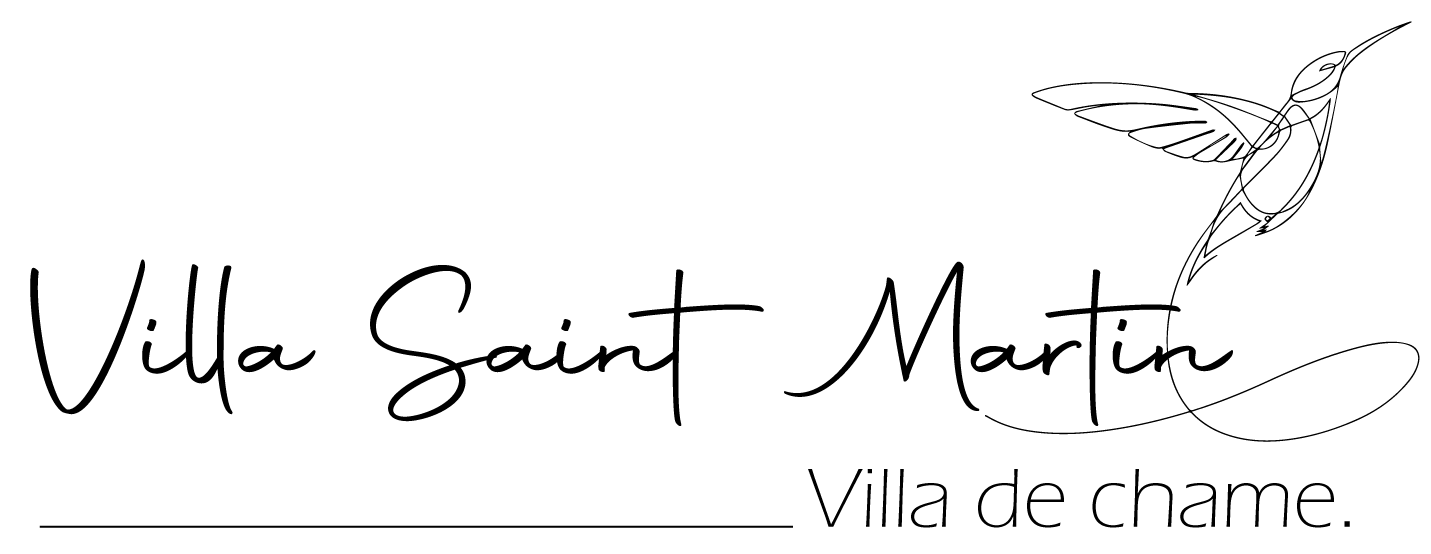 Logo Villa Saint-Martin